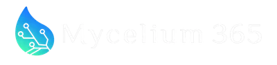 Mycelium 365 — Managed IT, Microsoft 365 and Azure across Australia, New Zealand and the United States